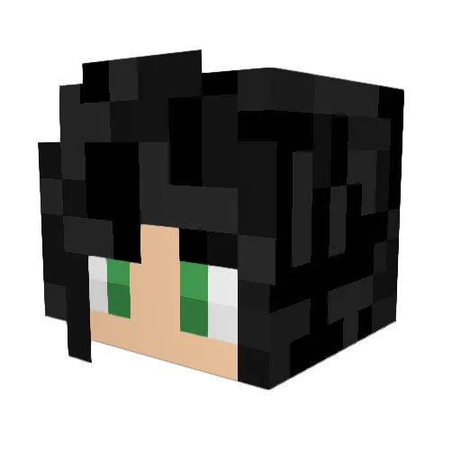 bobrocksmc Minecraft avatar head, 3D render