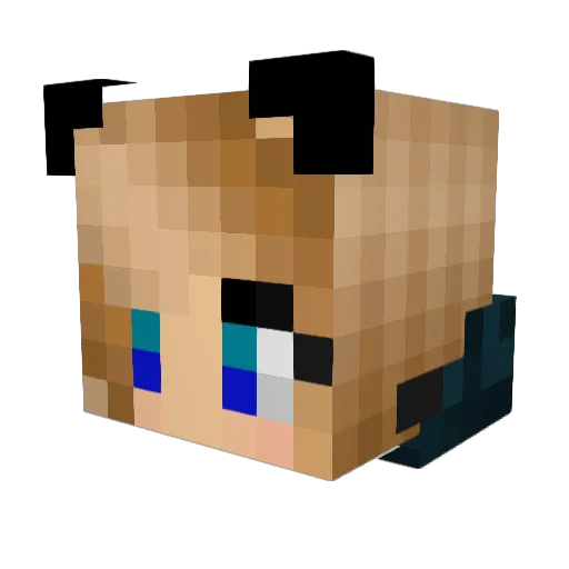 bobstermurray Minecraft avatar head, 3D render