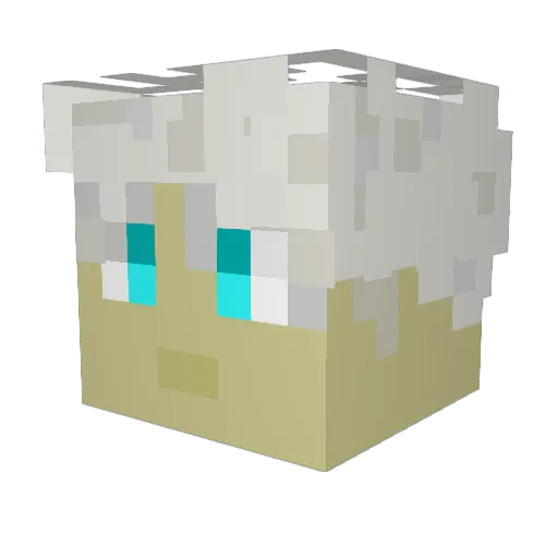 bobthe1423 Minecraft avatar head, 3D render