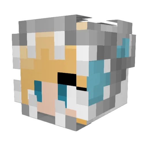 bobthecat2013 Minecraft avatar head, 3D render