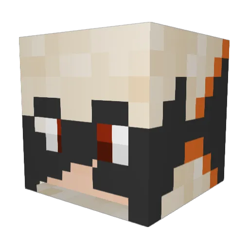 bobtherobber9876 Minecraft avatar head, 3D render
