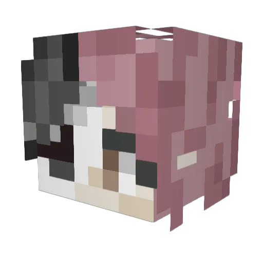 bobzo3 Minecraft avatar head, 3D render