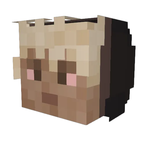bocat Minecraft avatar head, 3D render