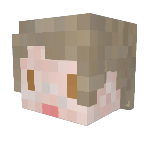 boccoro Minecraft avatar head, 3D render