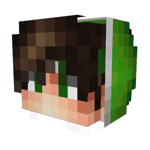 bocy666 Minecraft avatar head, 3D render
