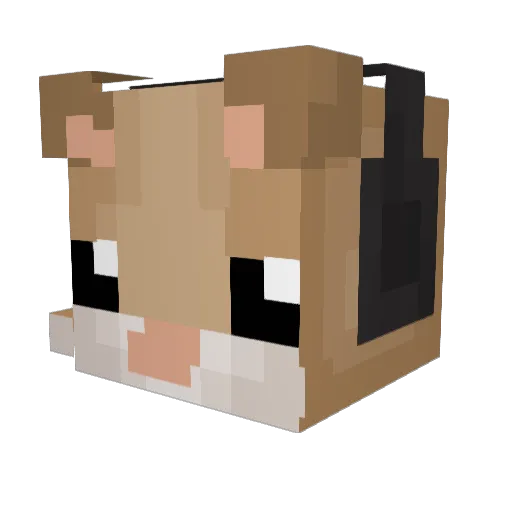 bodoji Minecraft avatar head, 3D render