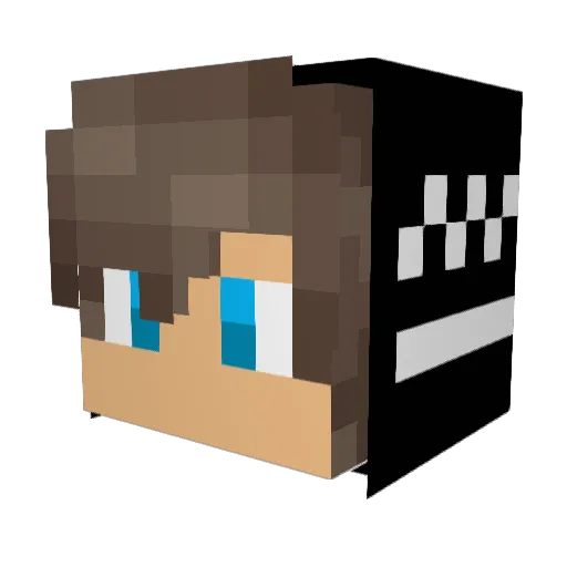 boeing2565 Minecraft avatar head, 3D render