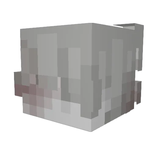 boexist Minecraft avatar head, 3D render