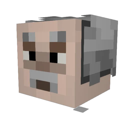bogatyr2009 Minecraft avatar head, 3D render