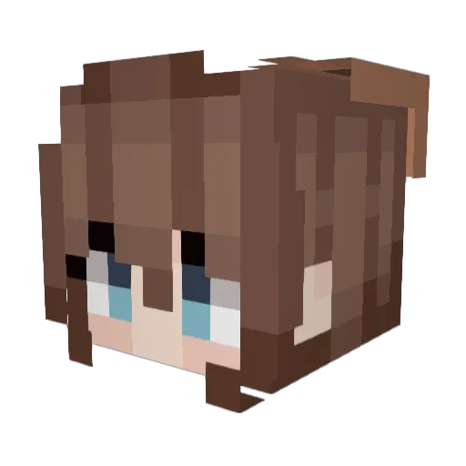 bogiwan Minecraft avatar head, 3D render