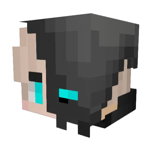 bohora Minecraft avatar head, 3D render