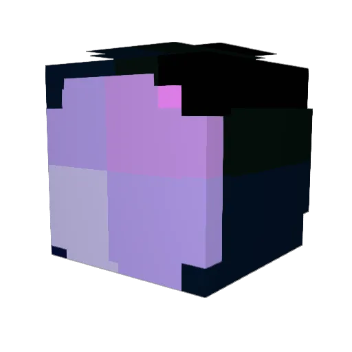 boi_is_back Minecraft avatar head, 3D render