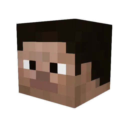 boi_ples Minecraft avatar head, 3D render