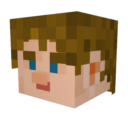 boiledpizzzza Minecraft avatar head, 3D render