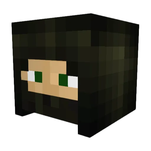 boilingdark Minecraft avatar head, 3D render