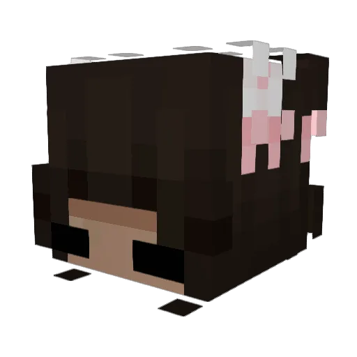 boinki09 Minecraft avatar head, 3D render
