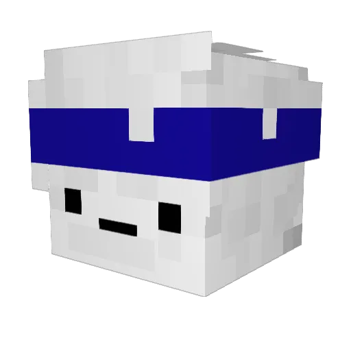 boiwedcat Minecraft avatar head, 3D render