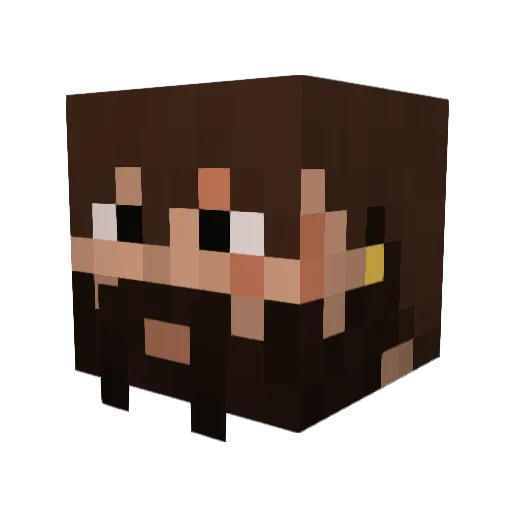 bojii Minecraft avatar head, 3D render