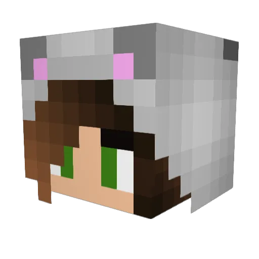 bokbocegii Minecraft avatar head, 3D render