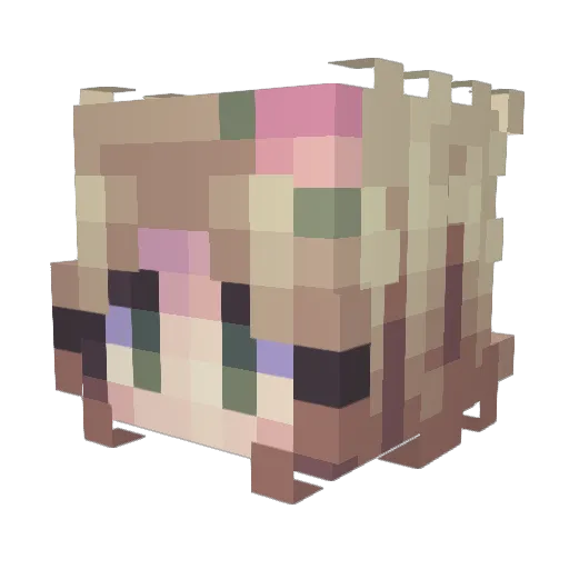bokesellz Minecraft avatar head, 3D render