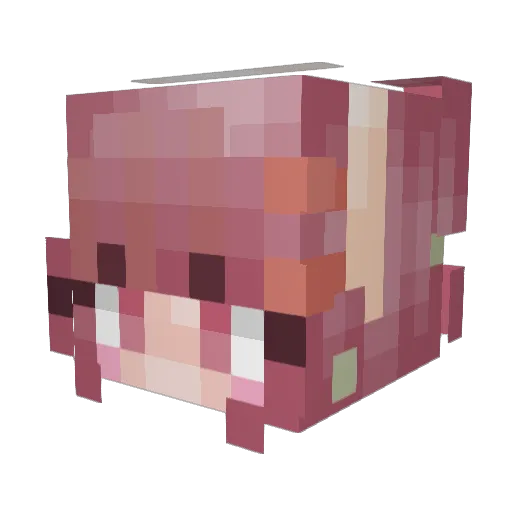 bokjoyy Minecraft avatar head, 3D render
