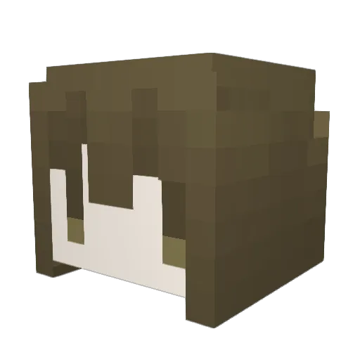 boku10 Minecraft avatar head, 3D render