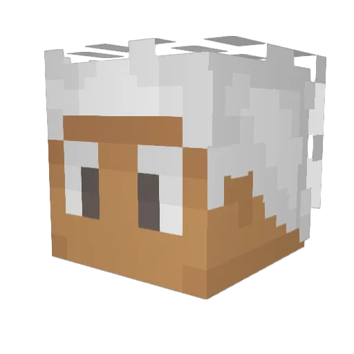 bokuzin1 Minecraft avatar head, 3D render
