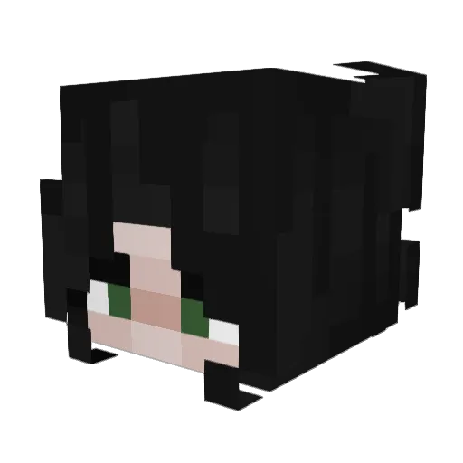 bol2soupe Minecraft avatar head, 3D render