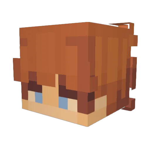 bolacha715 Minecraft avatar head, 3D render