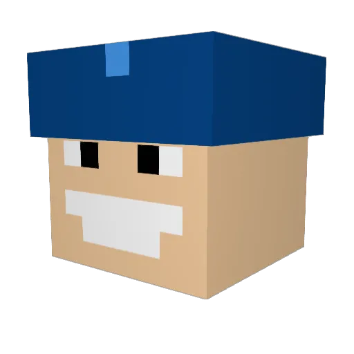bolakaychips69 Minecraft avatar head, 3D render