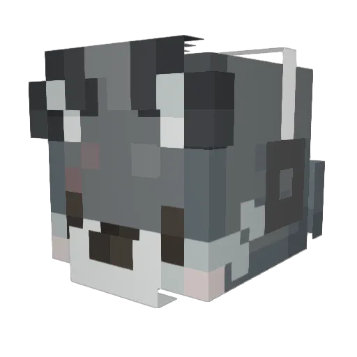 boltnoob1 Minecraft avatar head, 3D render