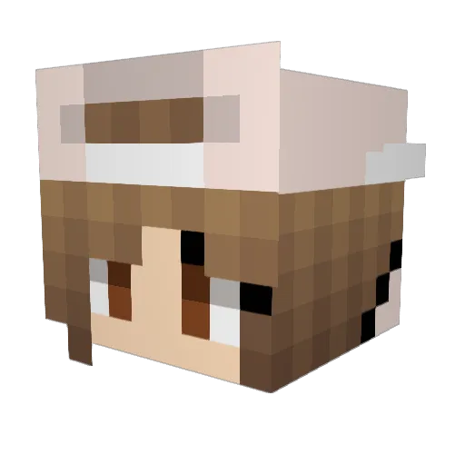 boltsy21 Minecraft avatar head, 3D render