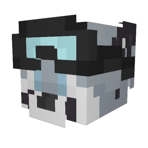 bom123456789 Minecraft avatar head, 3D render