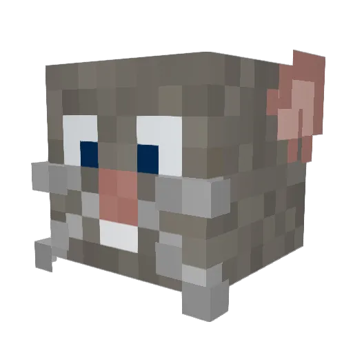 bombassita Minecraft avatar head, 3D render