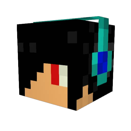 bombdiggity2039 Minecraft avatar head, 3D render
