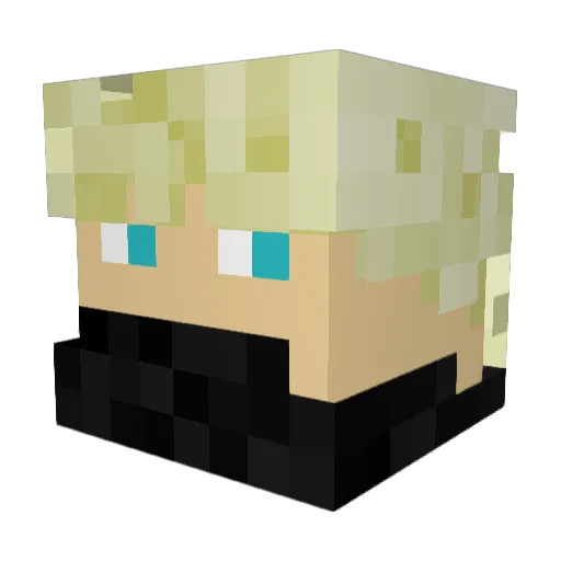 bombenwerfer830 Minecraft avatar head, 3D render