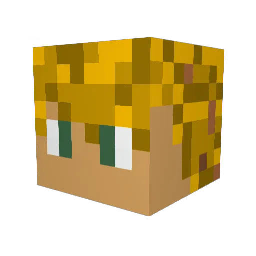 bomberXXX97 Minecraft avatar head, 3D render