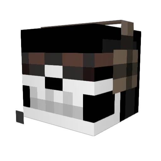 bombermaxyt Minecraft avatar head, 3D render