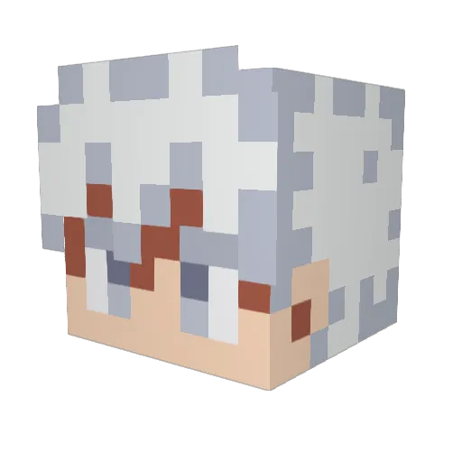 bombity Minecraft avatar head, 3D render