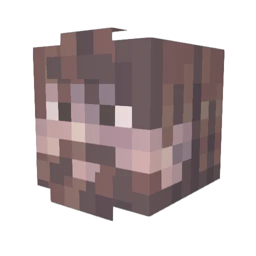 bombodondo Minecraft avatar head, 3D render