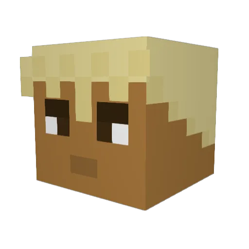 bombomm1 Minecraft avatar head, 3D render