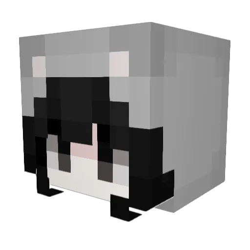 bombpop420 Minecraft avatar head, 3D render