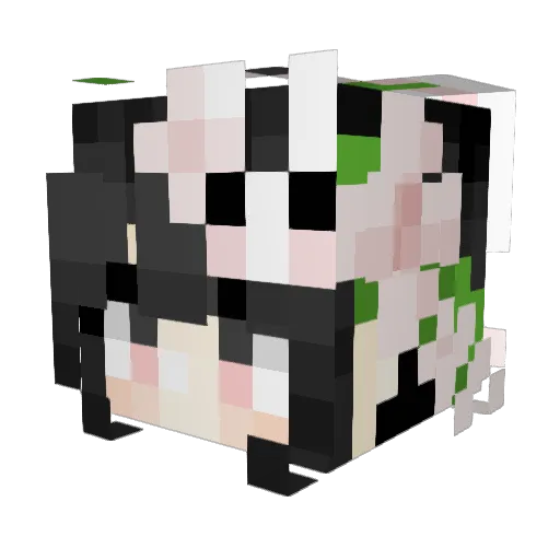 bomi6024 Minecraft avatar head, 3D render