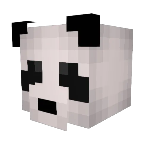 bomihyun Minecraft avatar head, 3D render