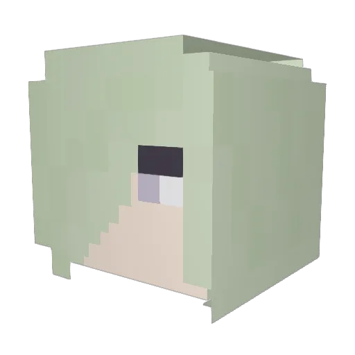 bonebloke Minecraft avatar head, 3D render