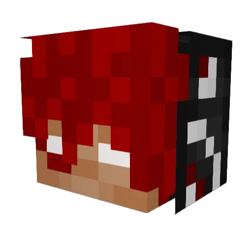 bonecrusher908 Minecraft avatar head, 3D render