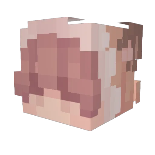 bonelesscrabs Minecraft avatar head, 3D render