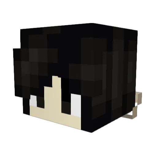 bonesinbags Minecraft avatar head, 3D render