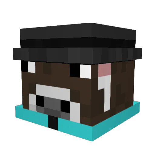 boneszz Minecraft avatar head, 3D render