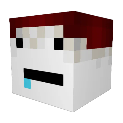 bongo12308 Minecraft avatar head, 3D render